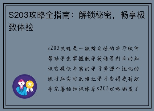 S203攻略全指南:解锁秘密,畅享极致体验